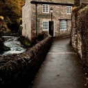 imaliveiamsoalive avatar