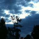 imfallingtothesky avatar