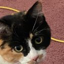 imightbeawful avatar