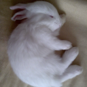 imisslittleme avatar