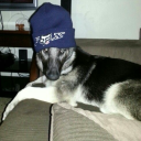 imissyousilas avatar