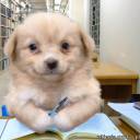 imnotdrinking avatar