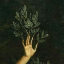 imnotevenhere9 avatar