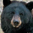 imorkoburnsides avatar