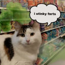 imperfectarchives avatar