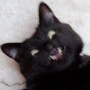 impervyminded avatar