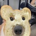 importantanimalfriends avatar