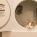 impossiblyakpaloli avatar