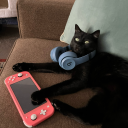 improbablemusicavenue avatar