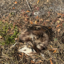 imscaredandthatok avatar