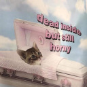 imsofuckinweird avatar