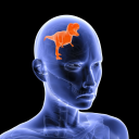 imsososolesbian avatar