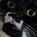 imtheperkiness avatar