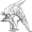 in-depth-transsexualism avatar