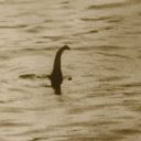 incanvescentruins avatar