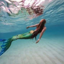 incastratatralemacerie avatar