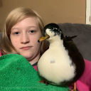 inconsistent-duckposting avatar