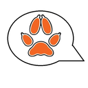 incorrect-tfc avatar