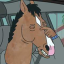 incorrectbojackhorsemanquotes avatar