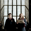 incorrectharmione avatar