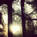 indicate-precisely-what-you-mean avatar