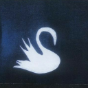 indig0-constellations avatar