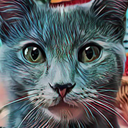 indigocatlady avatar