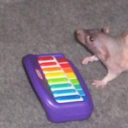 indrid-draws-stuff avatar