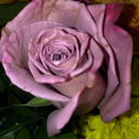 ineedtopopmyhip avatar