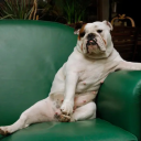 ineedtoventaboutbooks avatar