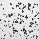 ineedyourskeleton avatar