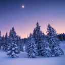 inexpressiblybeautiful avatar