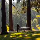 infamously-winking avatar