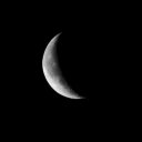 infernalshriek avatar