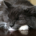 infinite0riddle avatar