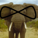 infiniteelephants avatar