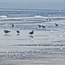 infinitelychilling avatar