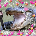 infiniteprocrastinate avatar