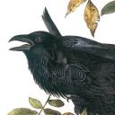 infiniteseamal avatar