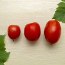 inflatablefish avatar