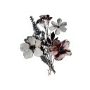 inkpressedpetals avatar