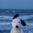 inloveforthemoon avatar