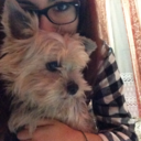 innamoratadiunosbagliato avatar