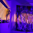 innerlightawakening avatar