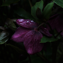 innerworldisup avatar