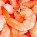 innitnotfound avatar