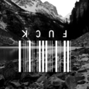 innocencepage avatar