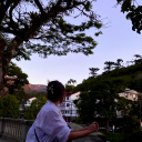 insanalucidez avatar