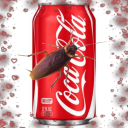 insectcola avatar