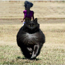 insiderinorbit-blog avatar